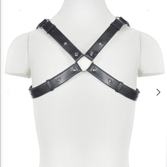 Deandri Overbust Harness - Picture 4 of 5